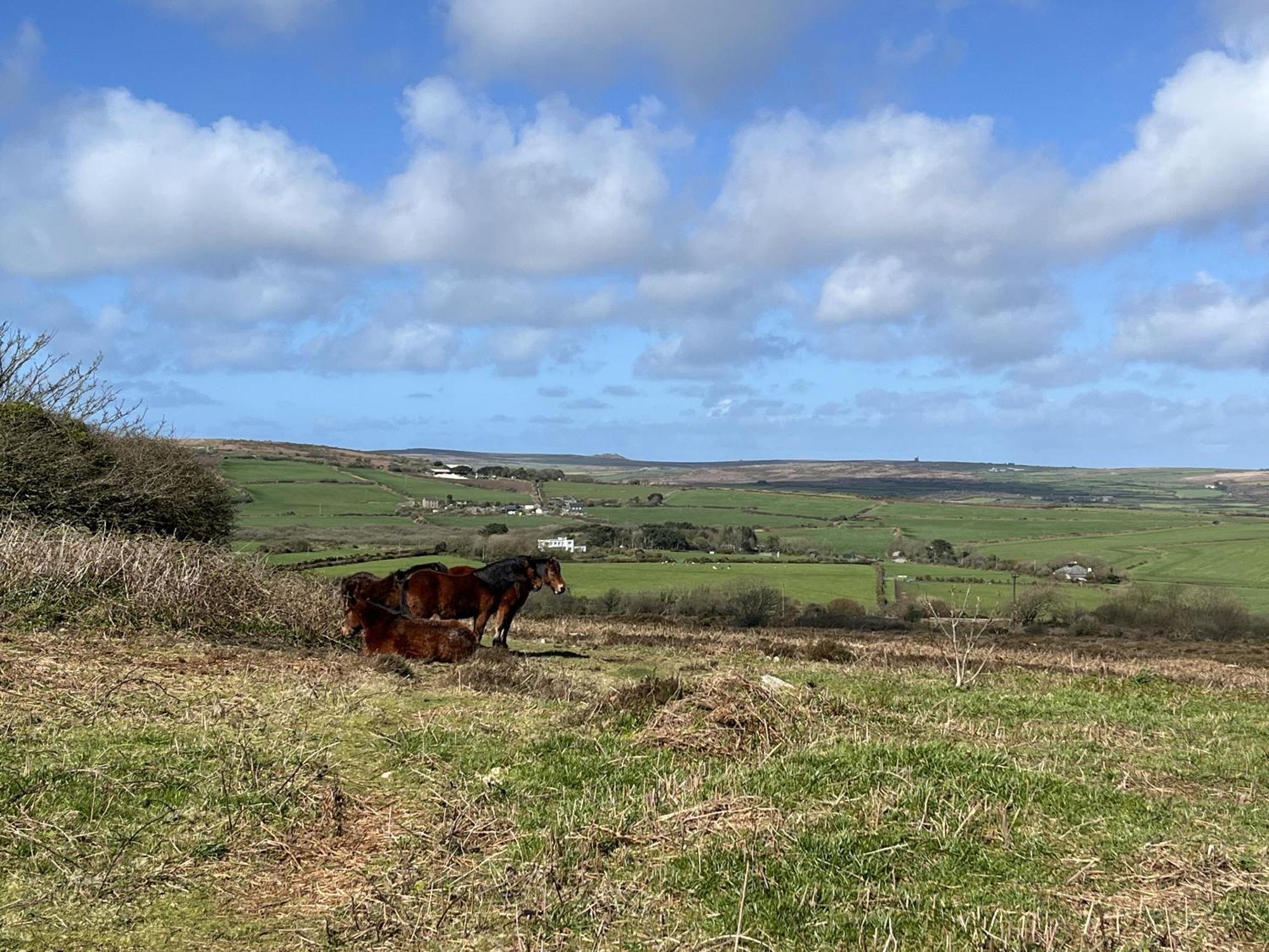 Sancreed House Cottages Penzance Bagian luar foto